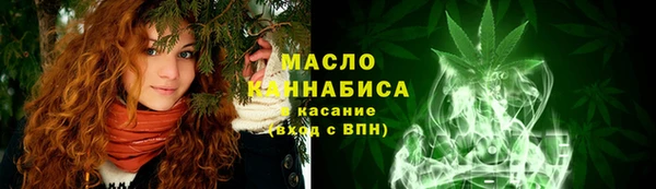 гидра Арсеньев