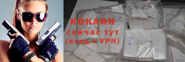гидра Арсеньев