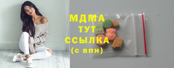 гидра Арсеньев