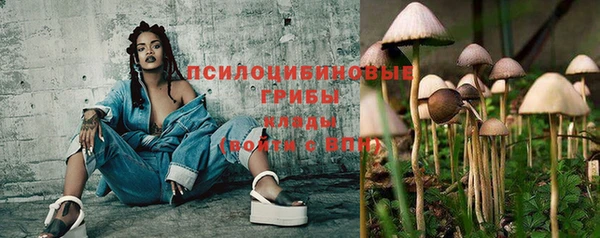 дживик Аркадак