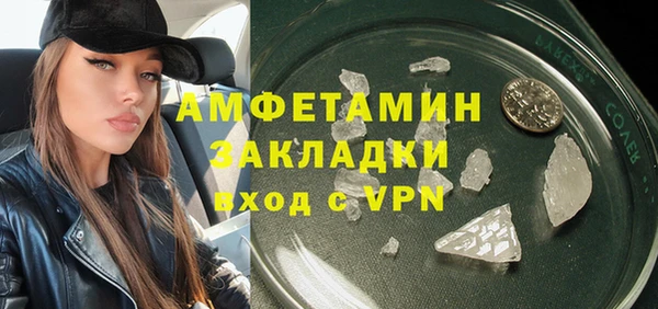 гидра Арсеньев