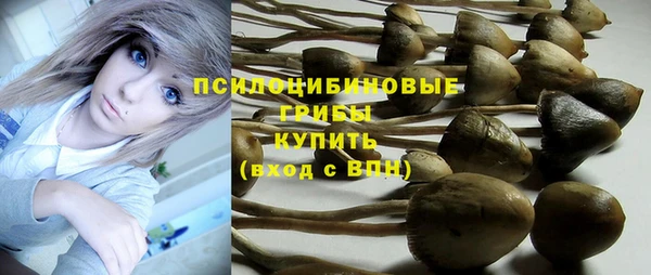 дмт Армянск