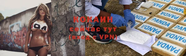 дживик Аркадак