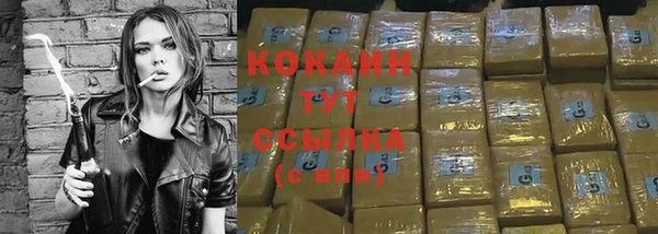 гидра Арсеньев