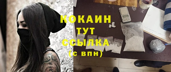 дживик Аркадак